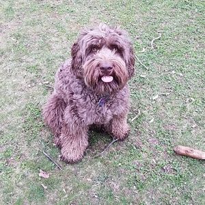 Meet your Posher, Yuliya